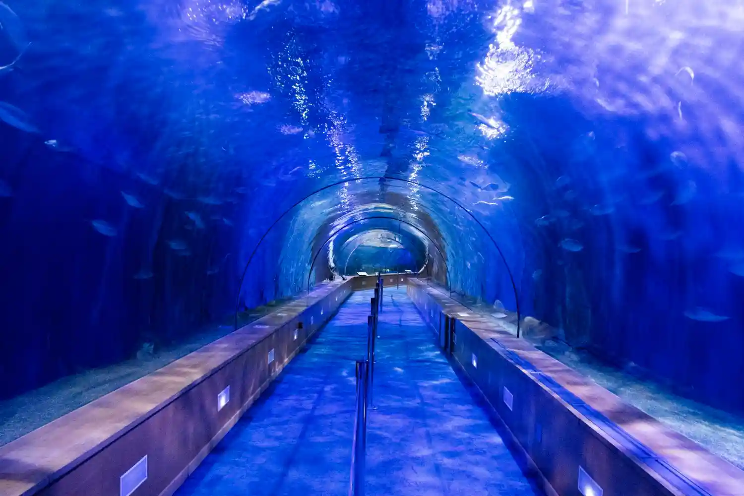 an image of the Dubai Aquarium & Underwater Zoo symbolizing the long and complex process of ensuring compliance with the AML/CTF Tranche 2 in Australia compliance