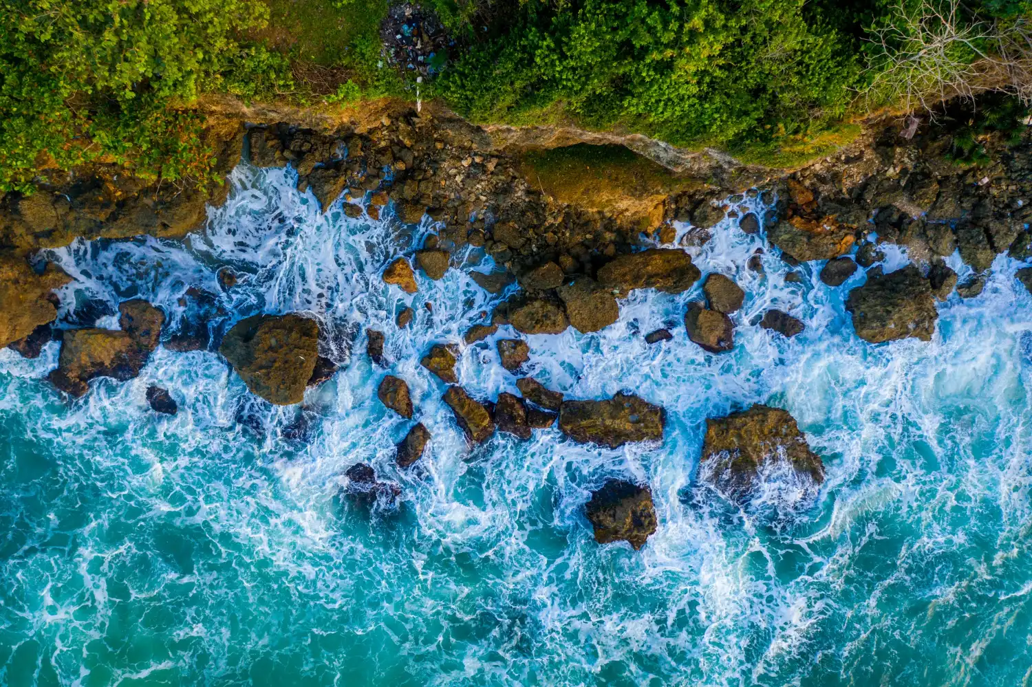 an overhead image of a rocky shore with lush vegetation, symbolising the potentially severe impacts of disregarding AML/CTF Risk Assessment
