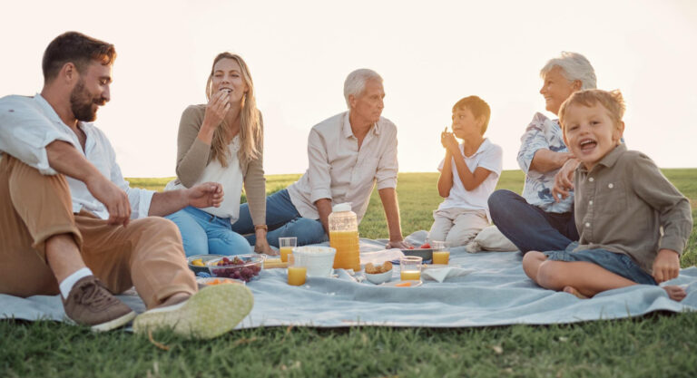 an image of a happy family out on a picnic, having fruits and juice, symbolising the peace of mind we offer family businesses over Family Constitution vs Shareholders Agreement